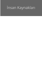 nsan Kaynaklar